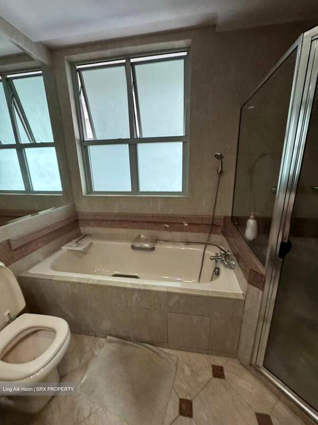 Sunshine Plaza (D7), Apartment #502574141